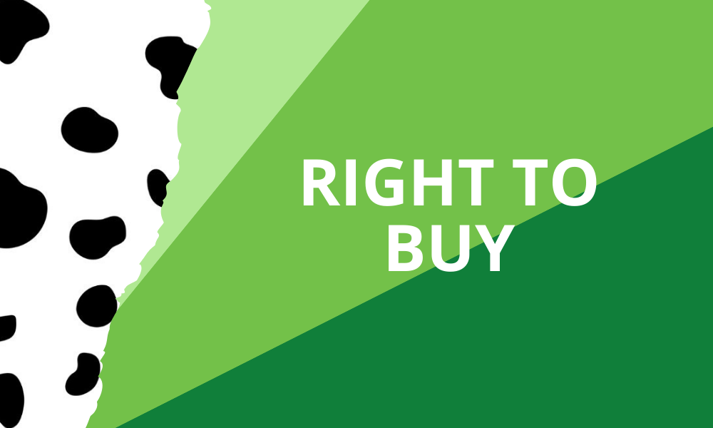 Right to buy Mob Right to buy mortgage advice rotherham