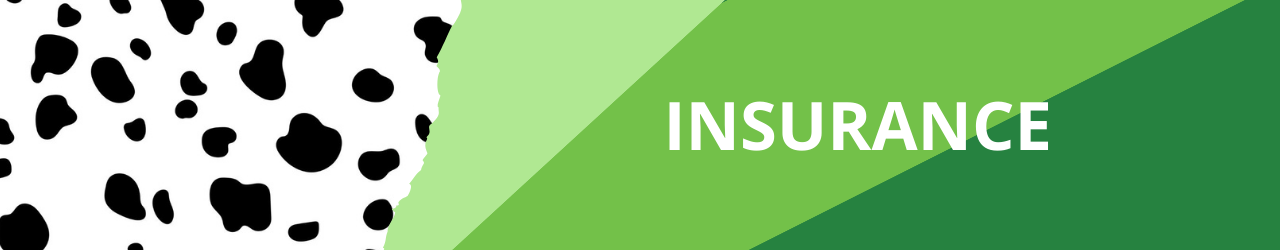 Waverley Mobile Headers - Insurance Insurance Rotherham