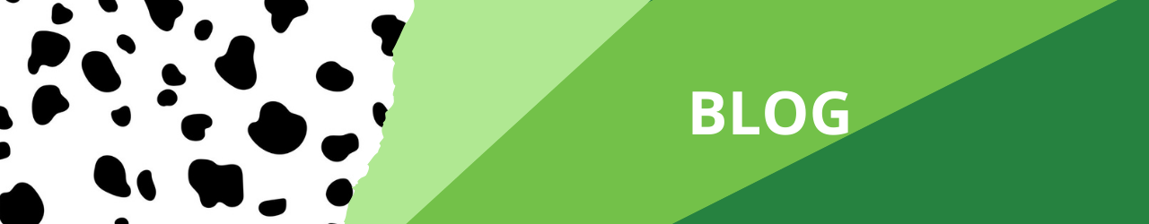 Waverley Blog Expert Mortgage Advice on our Blog page